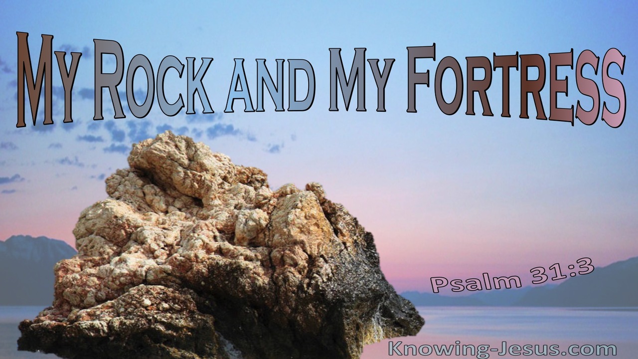 Psalm 31:3 You Are My Rock And Fortress (pink)